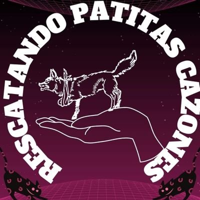 RCazones's profile picture. 3 años haciendo activismo, cultura ambiental, bienestar animal, muchos rescatan perros... yo busco hacer valer la ley, antisistema, anarquía si existe opresión.