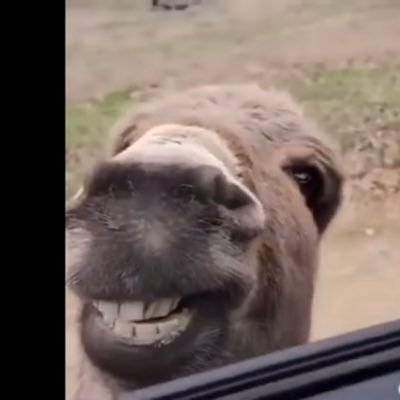 jaredpressley9's profile picture. Call of Duty Athlete ⛰