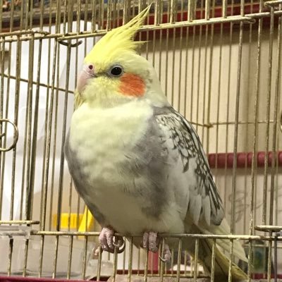 ryuryuryuji0202's profile picture. H2,2,2生/ぱち&スロ/圧倒的養分思考 /食事好き