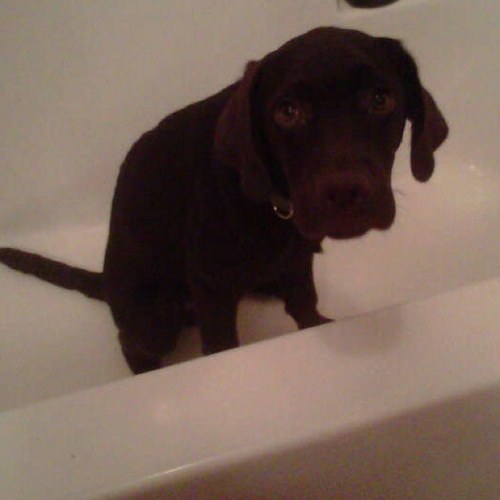 J_P_Egger's profile picture. 