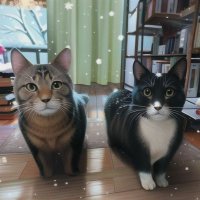 まなと (@bokukko_manato) Twitter profile photo