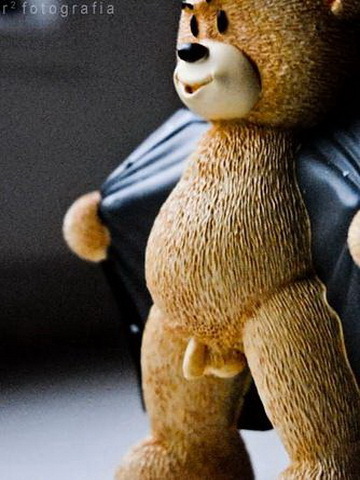 GDPenguin's profile picture. 