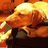 BaxTurbine's profile image
