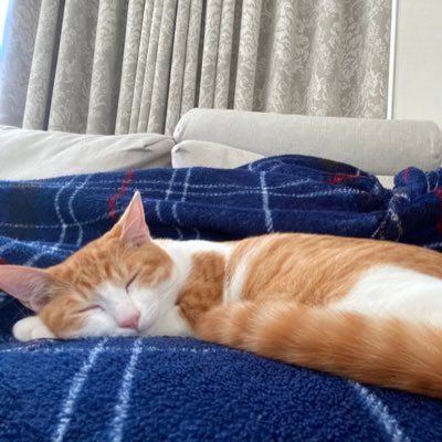 sonooon's profile picture. 睡眠をこよなく愛する34です｡眠りにつく瞬間がこの世で一番幸せな瞬間だと思ってます。おやすみなさい。