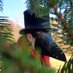 Mr. Plague Man (@mrplaguemans) Twitter profile photo Mr. Plague Man (@mrplaguemans) Twitter profile photo