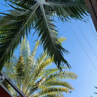 ConcernedC842's profile picture. 