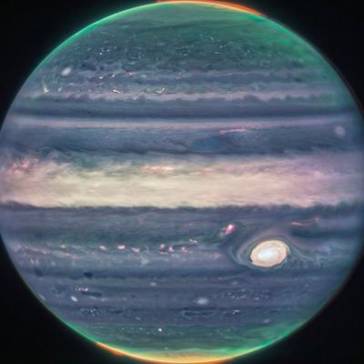 ric_fradiani's profile picture. 