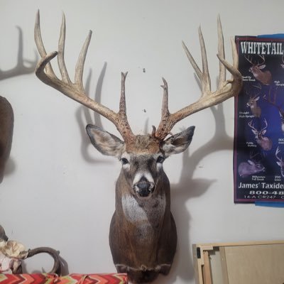 charlieawol's profile picture. host of the FatDadPodcast. episodes will be posted every Tuesday.