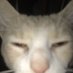 ea (@asterisc_0) Twitter profile photo ea (@asterisc_0) Twitter profile photo