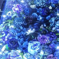 蓮夢華 (@freedom_against) 's Twitter Profile Photo 蓮夢華 (@freedom_against) 's Twitter Profile Photo