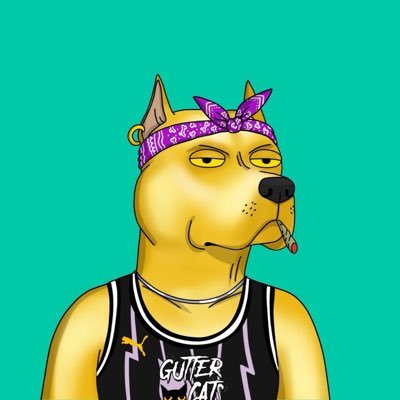 LegCap 😾さんのプロフィール画像