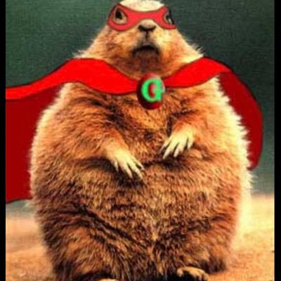 rcgaris's profile picture. God, USA 🇺🇸, Go Bills🦬 Term Limits, Voter ID, Reform the Jones Act