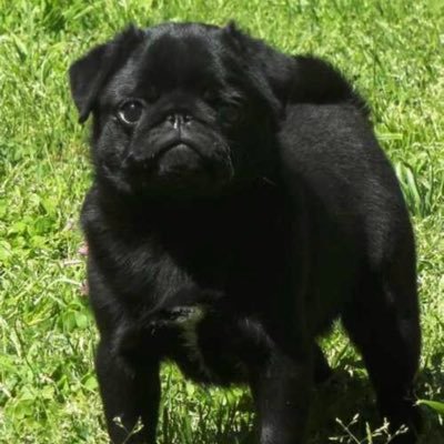 JV35184756's profile picture. JavierMVC