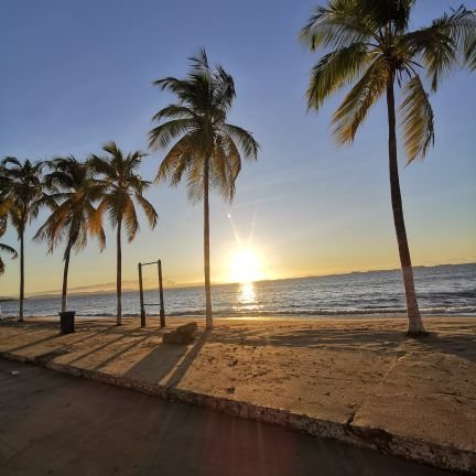 sema130595's profile picture. 