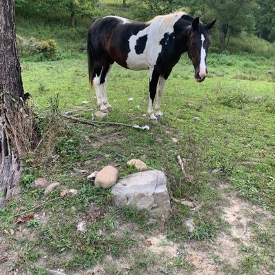 Trixie60134381's profile picture. 