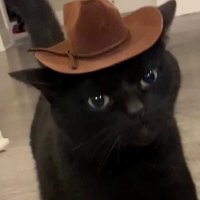 Salter (@salteroo) 's Twitter Profile Photo Salter (@salteroo) 's Twitter Profile Photo