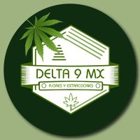 Delta 9 MX(@Delta9MX) 's Twitter Profile Photo