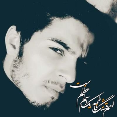 sayedbaghery Profile Picture