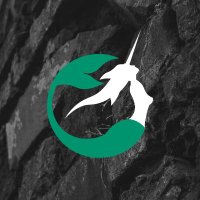 Narval Esports (@narvalesports) 's Twitter Profile