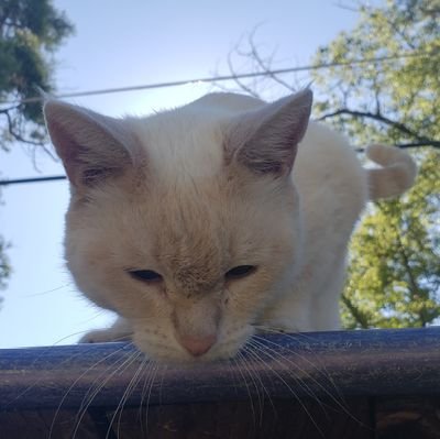 Ian62282924's profile picture. 