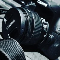 Shameless Studios (@mahogany953) 's Twitter Profile