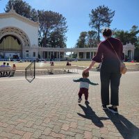 Natalie Warsinger-Pepe, PhD (@nwarsingerpepe) 's Twitter Profile