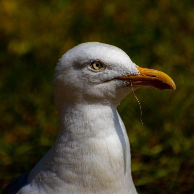 Masuさんのプロフィール画像