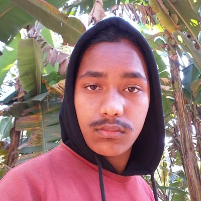 Rasaili