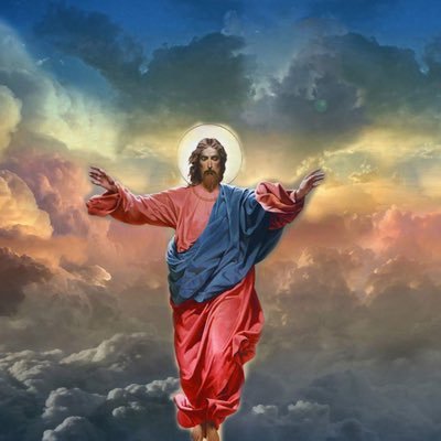 naexline's profile picture. Catholic, wife, mother. Traditional not radical. Too sarcastic for my own good.