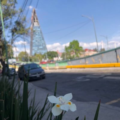 lmce1305's profile picture. 