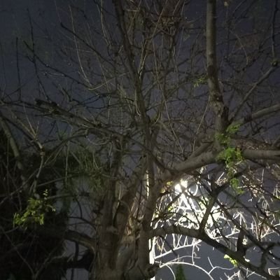 gopapr324's profile picture. 