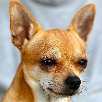 Salesforceエンジニア | Salesforce認定資格×9 | Salesforceに関するブログを運営しています