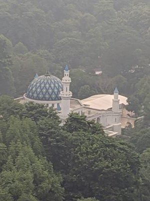 walterlewisIV's profile picture. Oregon Wheat, OSU Crops and Soils, Vermont Law