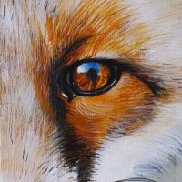 RENARD LE ROUX πβοΈ (@olderadhd) 's Twitter Profile