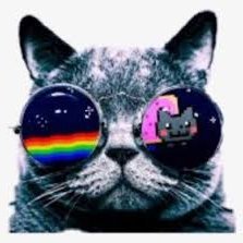 SafarWidodo's profile picture. Unsafe (🧙‍♂️,🧙‍♂️) Gnoma