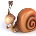 🐌 (@slowmantrader) Twitter profile photo 🐌 (@slowmantrader) Twitter profile photo