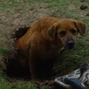 Gordon Overby - @OverbyGordon - Twitter