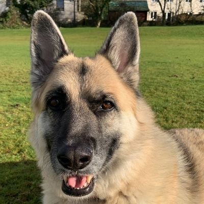 Wife, Mother. Believer in spiritual wellbeing. Supporter of PSC / life limiting illness. Enjoys singing, true friendship & peace. Love my puppy girl GSD X HUSKY