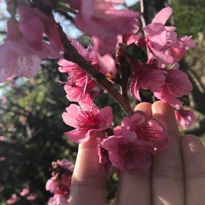 はいたい、まやと申します。勉強アカでやいびん!只今webデザイン勉強中✨他に心理学や福祉を学んでました。継続は力なりと信じたい。