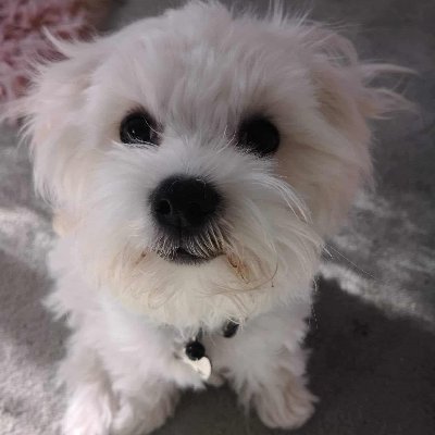 ce1a_'s profile picture. Fortnite