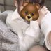 白那 (@kfk08wq467) Twitter profile photo 白那 (@kfk08wq467) Twitter profile photo