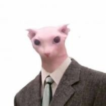 jeferso99819161's profile picture. 