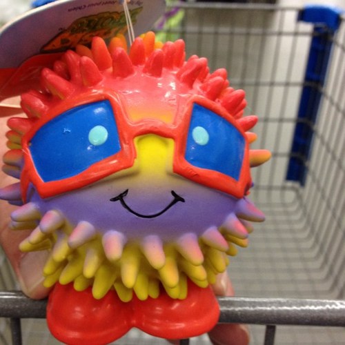 Paula_Lenard's profile picture. 