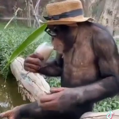 elliot15346334's profile picture. 