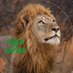 YUKA on SAFARI PODCAST (@yons_pod) Twitter profile photo YUKA on SAFARI PODCAST (@yons_pod) Twitter profile photo