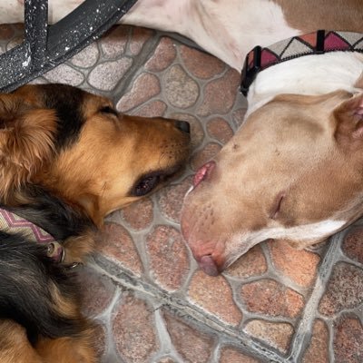 AnnaBriseo2's profile picture. 