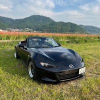 かさ (@oxsavm) 's Twitter Profile