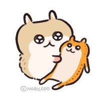 えむ🐹 (@_o05i9o_) 's Twitter Profile