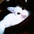 rubywzy84's profile image