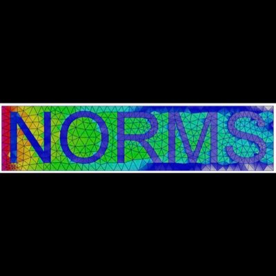NORMS Profile